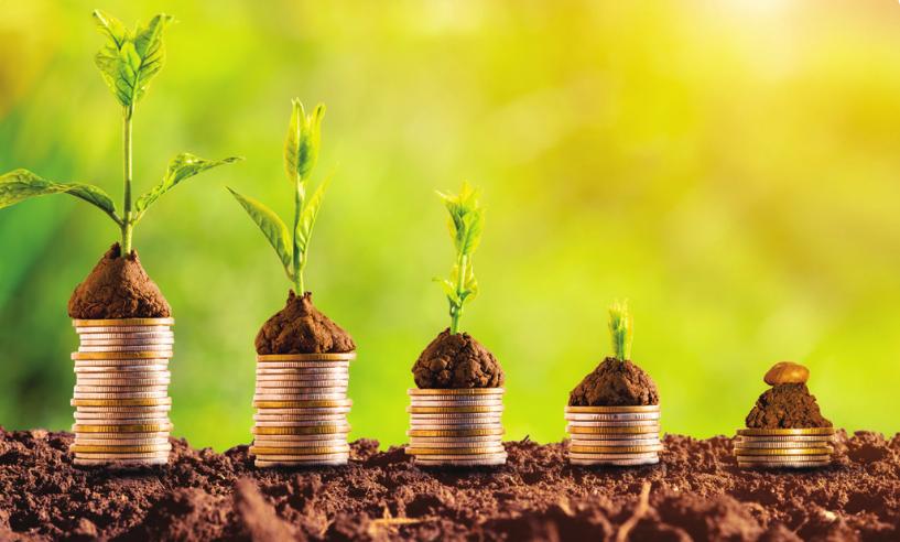 Destinan Poco Presupuesto a Sostenibilidad