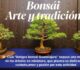 Arte Y Tradición En La Exposición De Bonsái