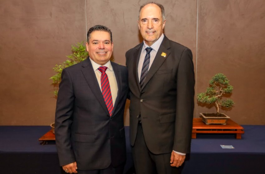 Continuidad y renovación