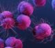 Cáncer Colorrectal: La Amenaza Silenciosa Que Puedes Evitar