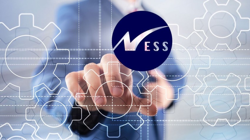 empresa less