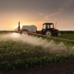 Cultivos de alto valor en México: Equipamiento clave para agroexportadores