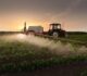 Cultivos de alto valor en México: Equipamiento clave para agroexportadores
