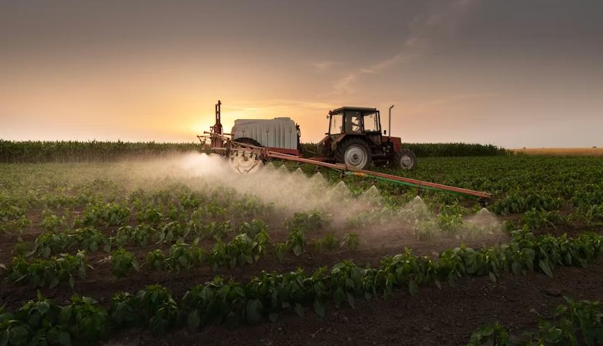 Cultivos de alto valor en México: Equipamiento clave para agroexportadores