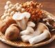 ¿Hongos Para Combatir El Hambre?