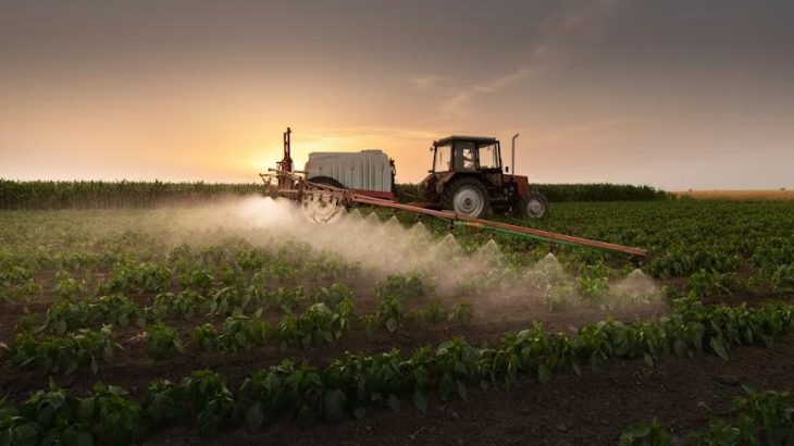 Cultivos de alto valor en México: Equipamiento clave para agroexportadores