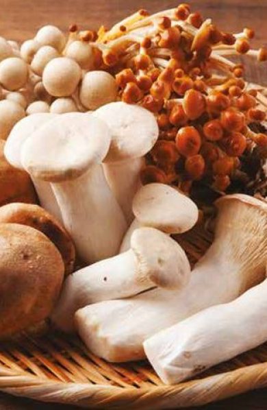 ¿Hongos Para Combatir El Hambre?