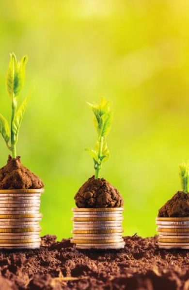 Destinan Poco Presupuesto a Sostenibilidad